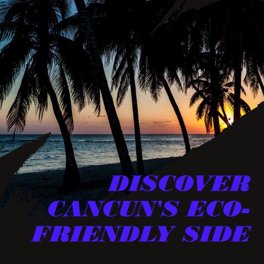 Cancun's Commitment to Nature