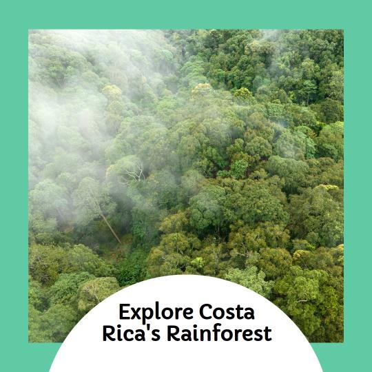 Costa Rica's Rainforest Adventures