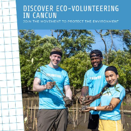 Giving Back to Nature: Eco-Volunteering Opportunities in Cancun