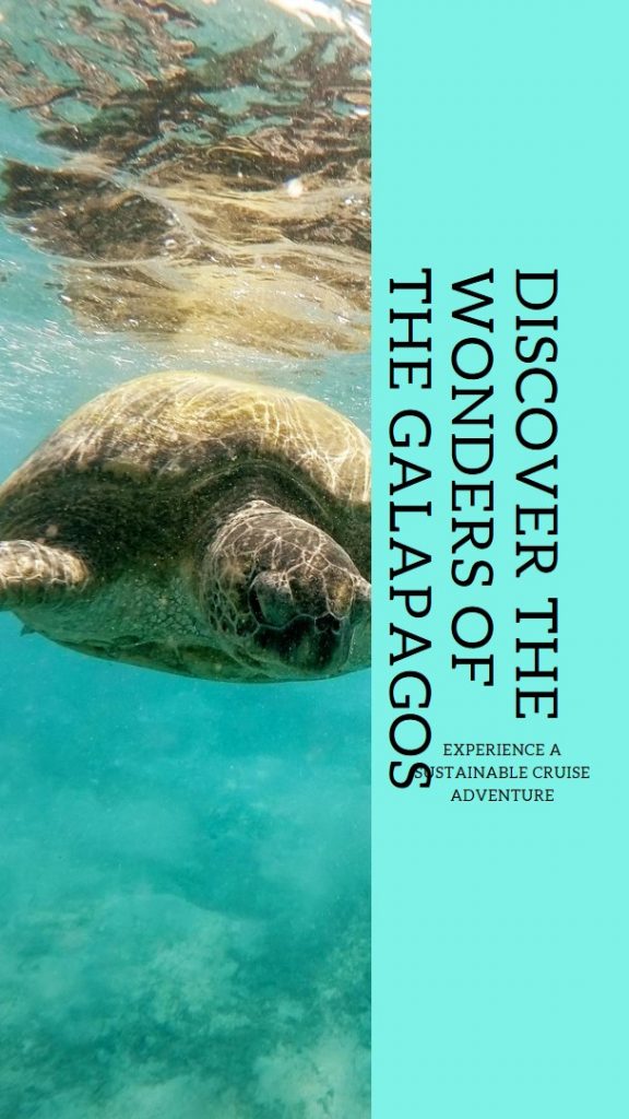 Galapagos Islands A Sustainable Cruise Experience