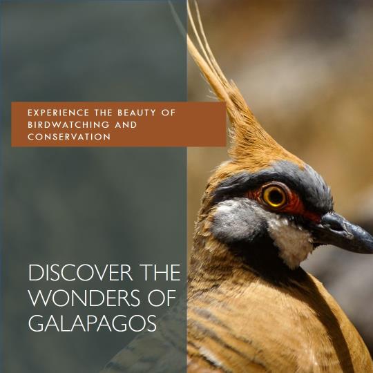 Galapagos Islands: Birdwatching and Conservation