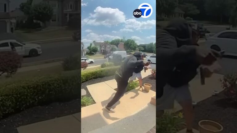 Dueling porch pirates scuffle to steal package outside Pennsylvania home | #Shorts