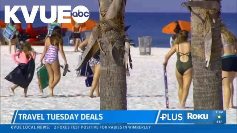 How to find the best deals on ‘Travel Tuesday’