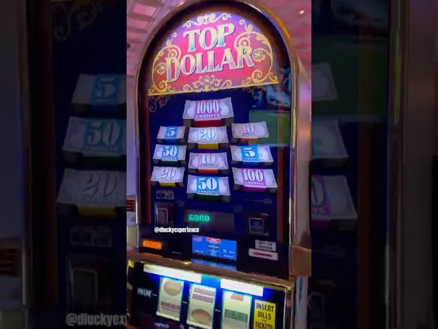 $200/Spin Top Dollar in Las Vegas. What could go wrong?  #casino #vegas