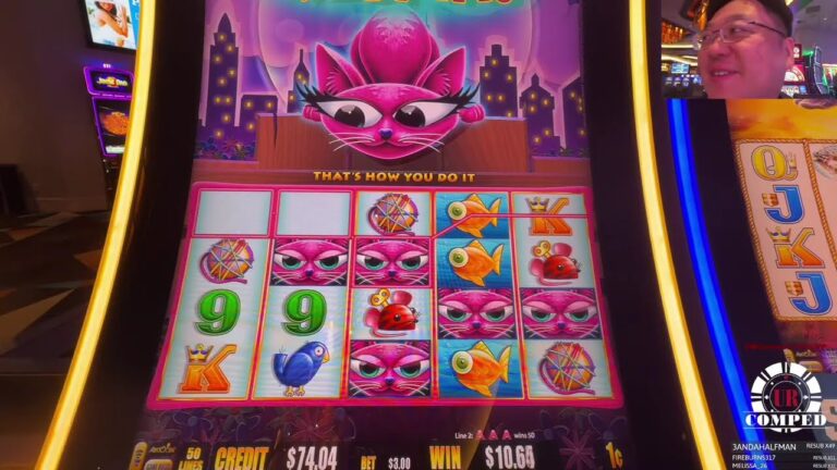 💸 Did the Cat got Our Tongue 🎰 Las Vegas Slots Live Stream