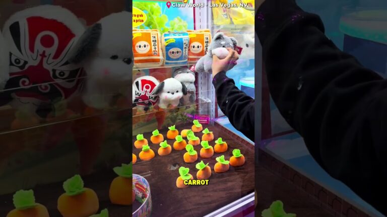 I won all of this at Claw World in Las Vegas 😍😍😍 #rainaiscrazy