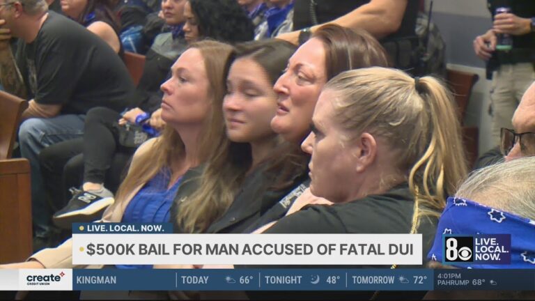 ‘It’s devastating’: Judge sets $500K bail for Las Vegas man accused of driving impaired, killing mot