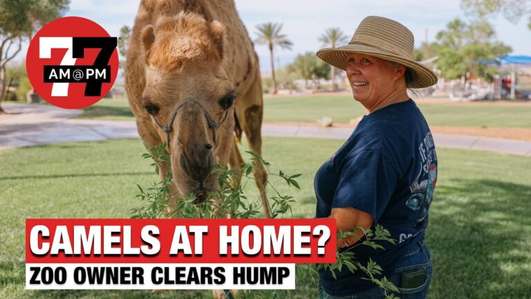 Las Vegas News | 7@7 PM for Friday, April 17, 2026