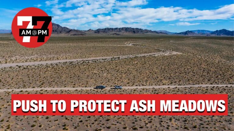 Las Vegas News | 7@7 PM for Wednesday, April 8, 2026