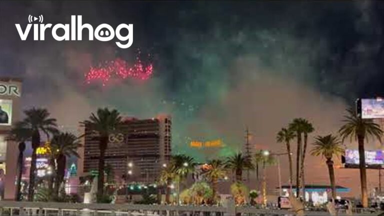 Las Vegas Tropicana Implosion || ViralHog