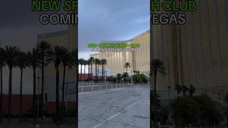 NEW SPORTS VIEWING BEACH CLUB COMING SOON TO LAS VEGAS! 📍TAILGATE BEACH CLUB