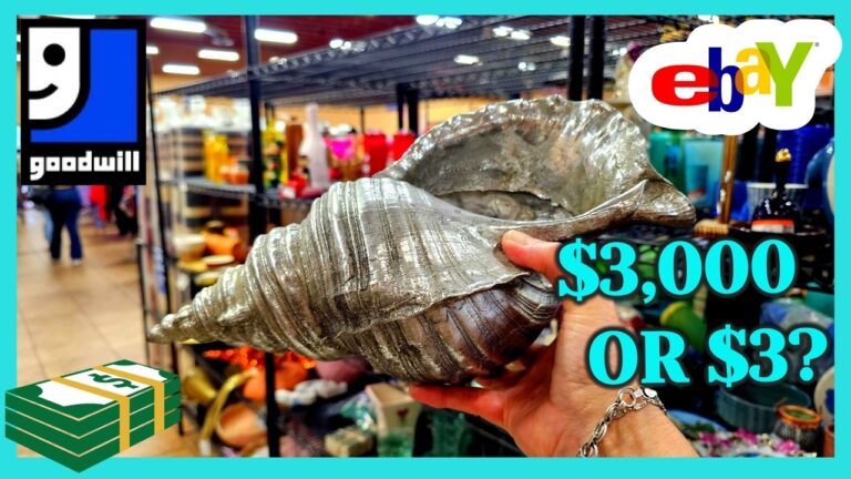 THRIFTING my BEST GOODWILL FIND EVER? / Let’s Go Thrifting LAS VEGAS Part 11 Rainbow / Mardon Store