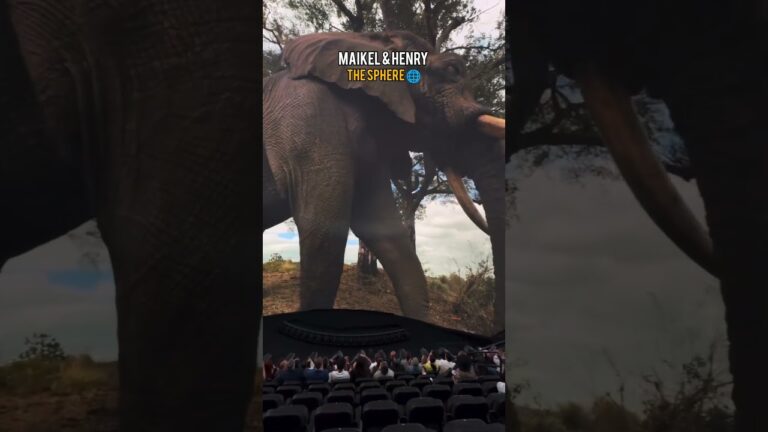 😳😲Elephant & Giraffe at the Las Vegas Sphere🌐 🦒🐘 Ultra Realistic Experience