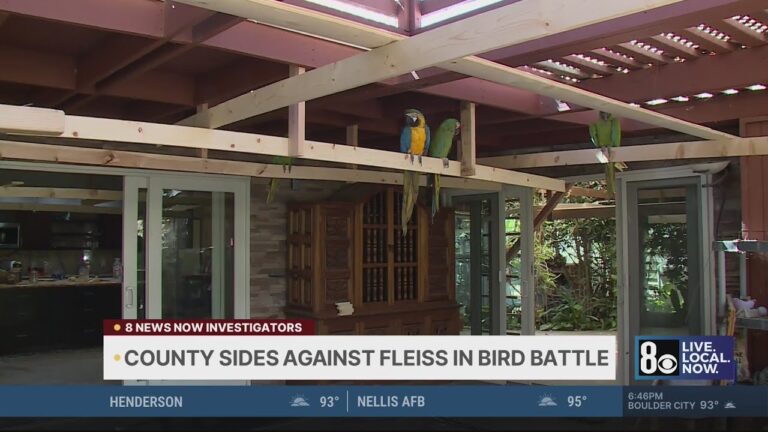 Fleiss loses latest battle in Las Vegas over letting her birds fly free
