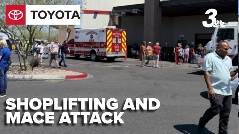 Henderson police investigate Costco shoplifting case after suspect sprays mace at employee
