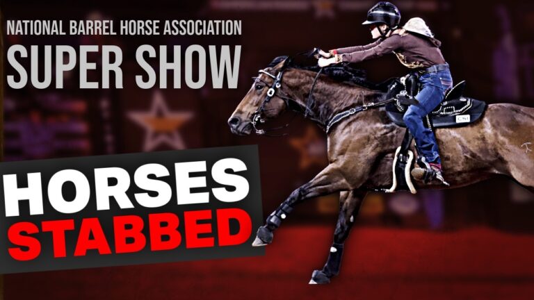 Horses Attacked at NBHA Vegas Super Show