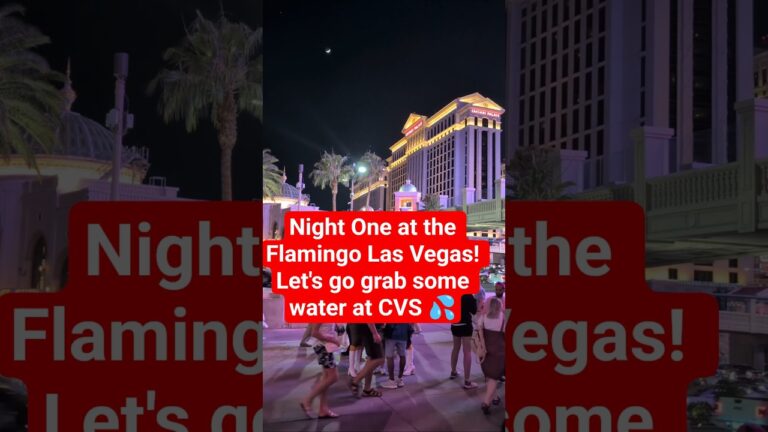 It’s night one at the Flamingo Las Vegas! Let’s go get some WATER 💦