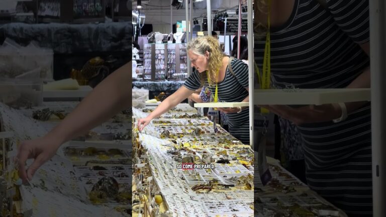 JOGS show mineral crystals wholesale jewelry trade show in Las Vegas open to public deal shopping