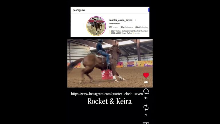 Las Vegas Horse Stabbing- South Point Corrals #horse #barrelracing #NBHAsupershow