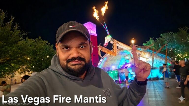 Las Vegas Nights, Supercars & Giant Fire Mantis, Highway driving To Los Angeles telugu vlogs