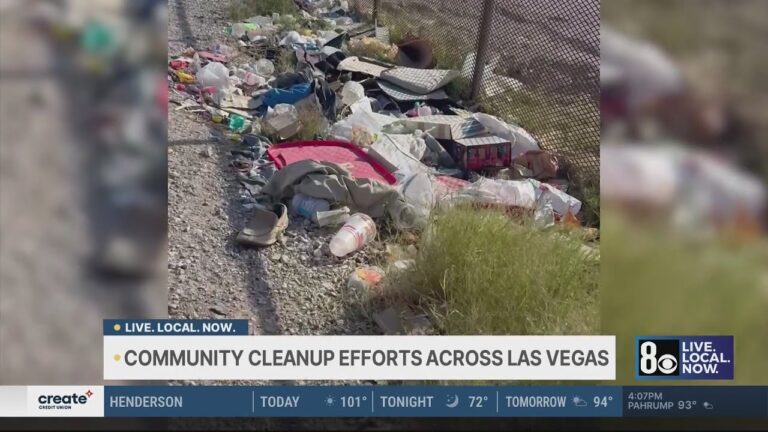 Las Vegas non-profit encourages community cleanup efforts across valley