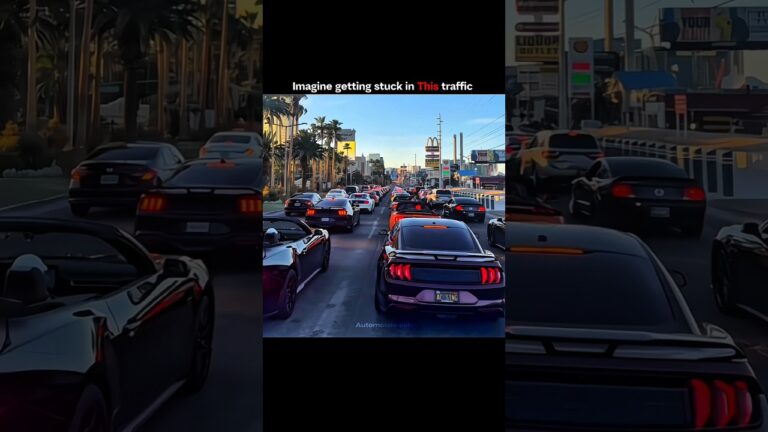 Mustang Heaven In Las Vegas 🐎