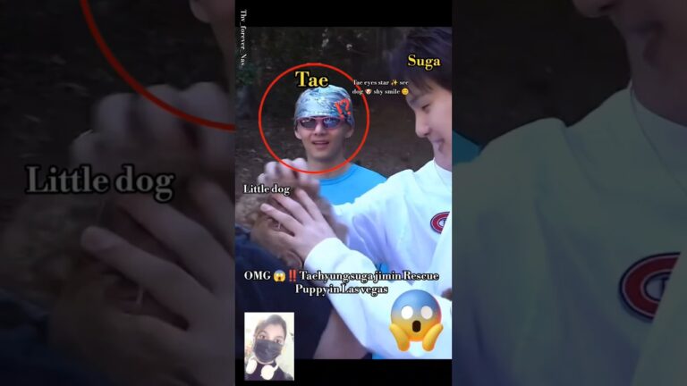 OMG 😱‼️Taehyung suga jimin plying with Street Puppy in Las vegas 🤯😭😭 they are so sweet 🥹#bts#shorts