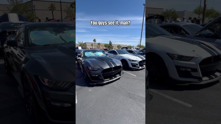 SHELBY MUSTANGS TAKEOVER LAS VEGAS! 🤯 #dsanglay #mustang #car #cars #shelbygt500 #shelbybash