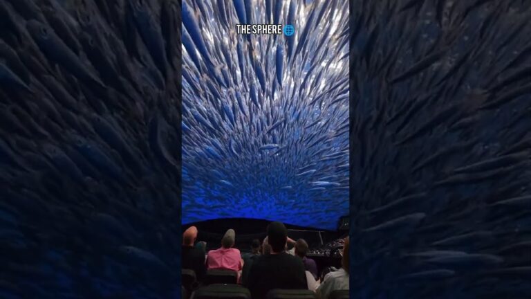 😳👌🏼💯Underwater World at the Las Vegas Sphere 🌊🐟🐟🐟 16K Immersive Experience