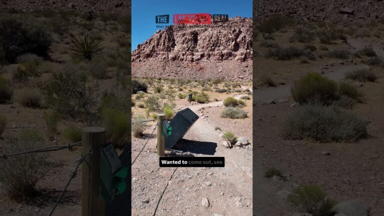 4.1 Earthquake Shakes Las Vegas Near Calico Basin