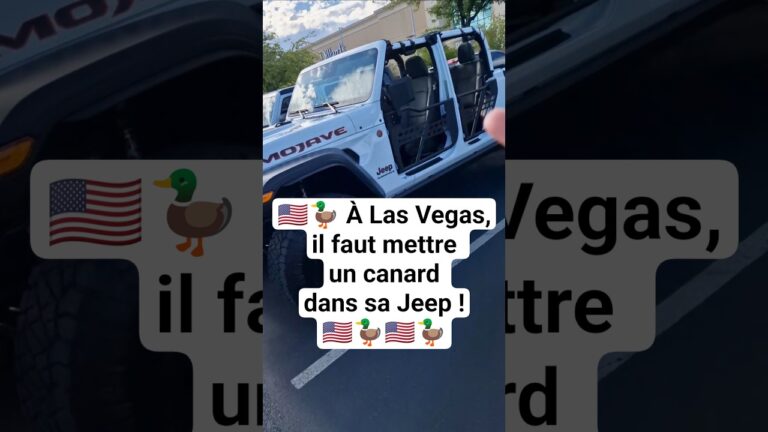 🇺🇸🦆 À Las Vegas, il faut mettre un canard dans sa Jeep ! #lasvegas #duckduckjeep