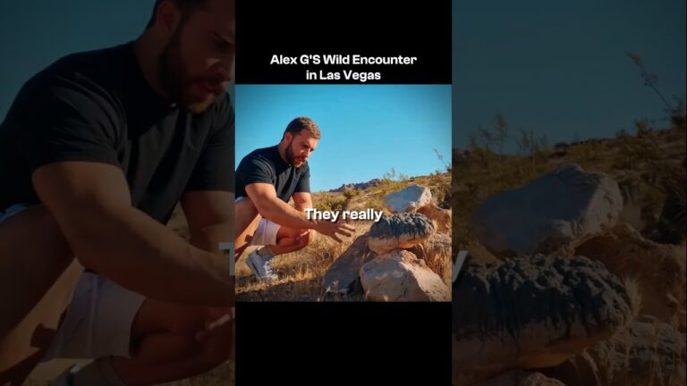 ALEX G’S WILD ENCOUNTER IN LAS VEGAS