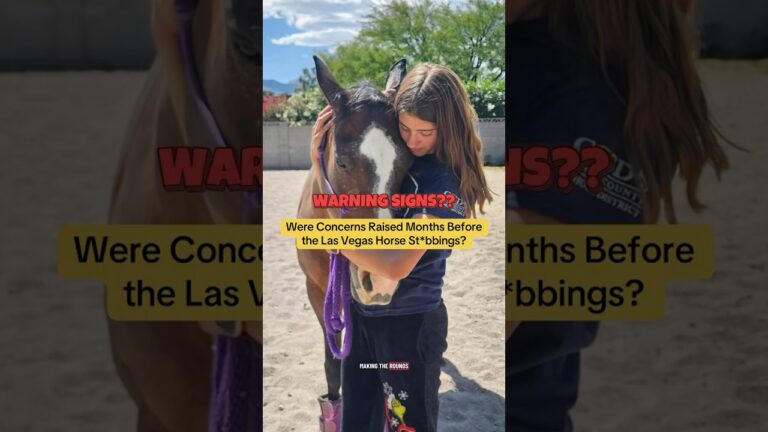 Horse Stabbing in Las Vegas. Were Warning Signs Ignored?? #horse #stabbingcase #lasvegas #crime