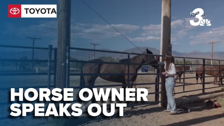 Horse owner who knew teen accused of stabbing horses speaks out as judge denies release