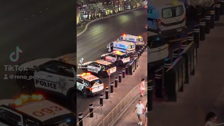 Ice Police investigating drugs, Royal One LV. Miracle Mile Shops Las Vegas Little Buddy Alert 🚨‼️