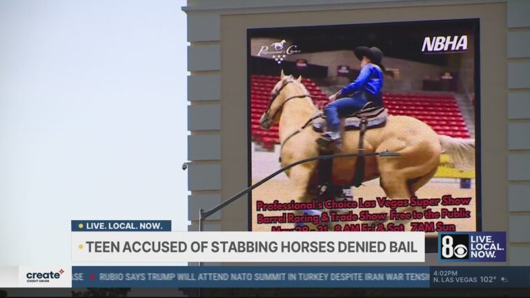Judge orders teen accused in Las Vegas horse stabbing to remain in custody