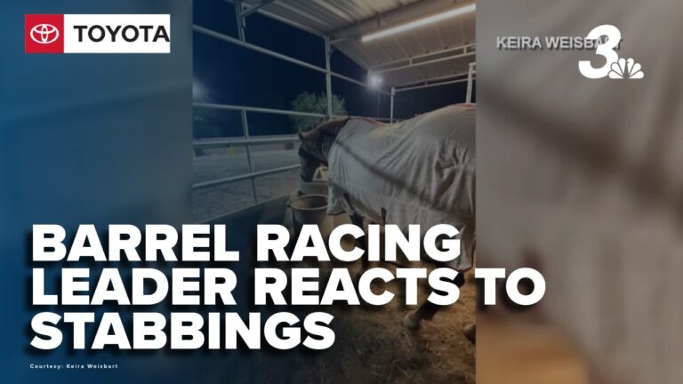 Las Vegas barrel racing leader reacts to alleged horse stabbing incident