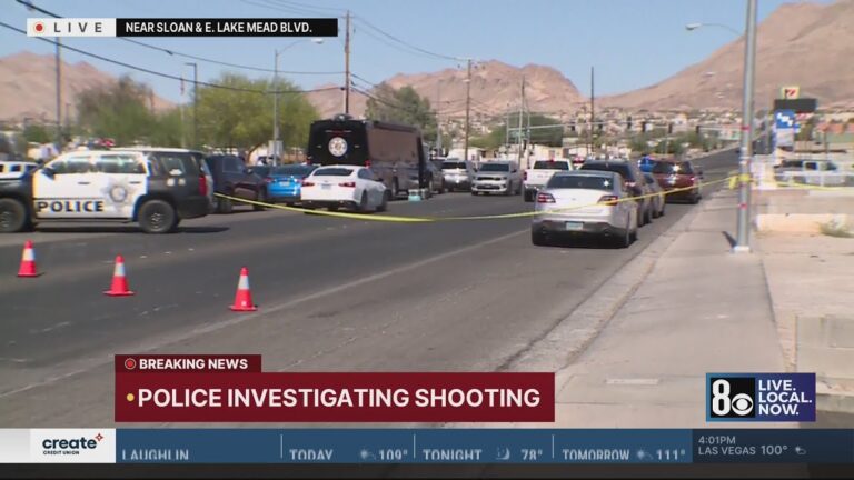 Man shot, killed by Las Vegas police after shooting into traffic: Metro police