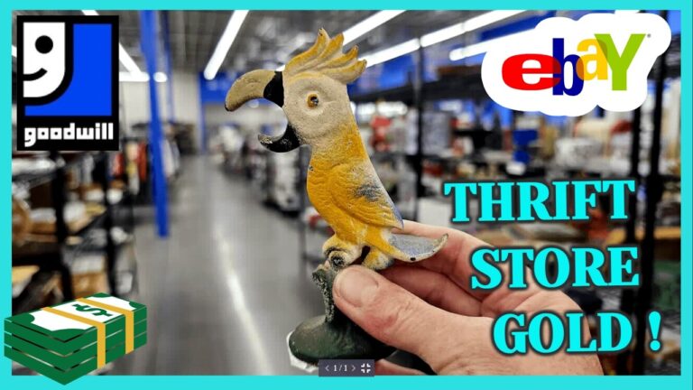 One GOODWILL SHELF Held HIDDEN VINTAGE Treasure / Let’s Go Thrifting in VEGAS Part 14 – Blue Diamond