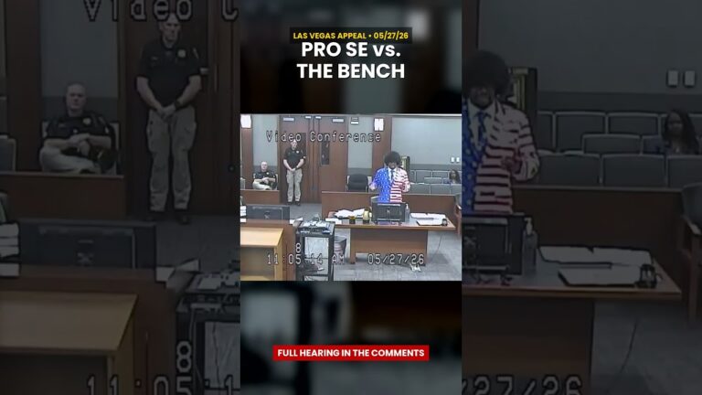 Pro Se vs. The Bench — Las Vegas Appeal Hearing #Shorts