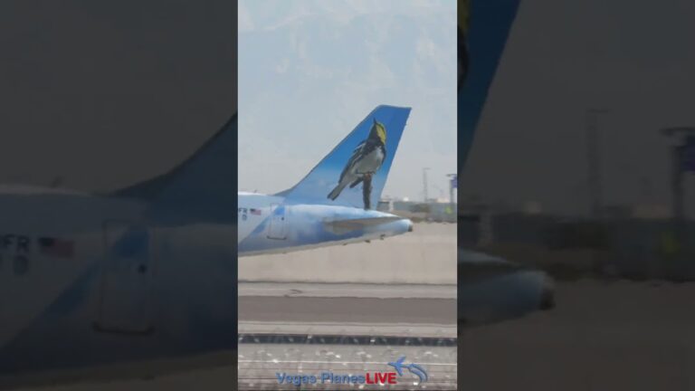 Spotting Golden Warbler Wing Out of LAS! Frontier A321 Takeoff!  #aviation #lasvegas #planespotting
