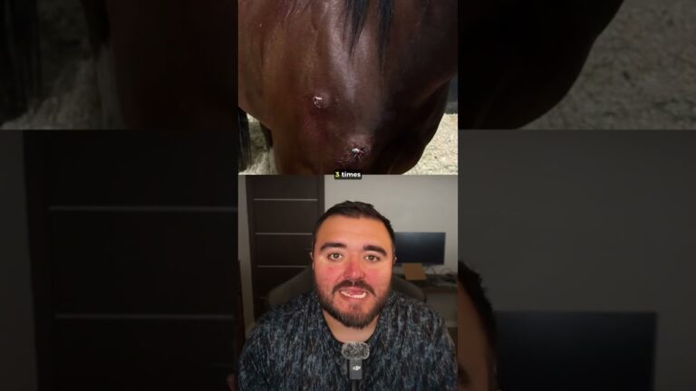 There was just a terrible horse attack in Las Vegas #lasvegas #barrelracing #horses #foryou