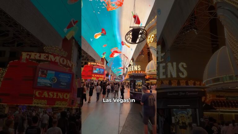 “Günahlar Şehri” Las Vegas’ta 1 gün. #lasvegas