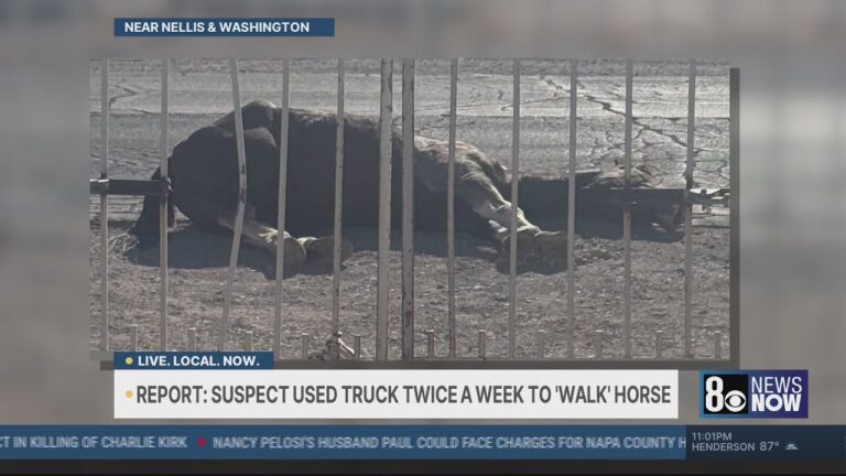 Las Vegas man claims health issues prevented him from walking horse before its death: report