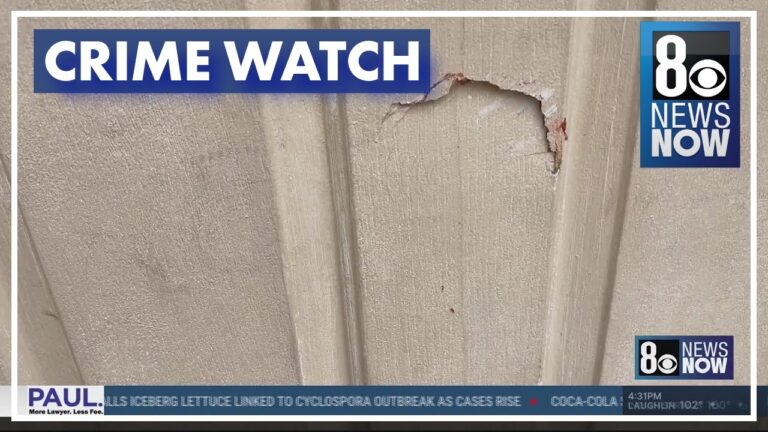 Las Vegas neighborhood teams up with police to stop vandalism
