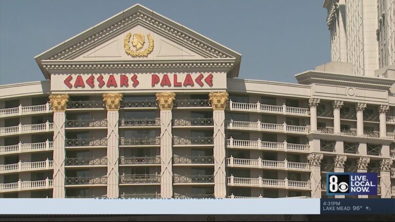New report details number of bed bugs reported at Las Vegas hotels