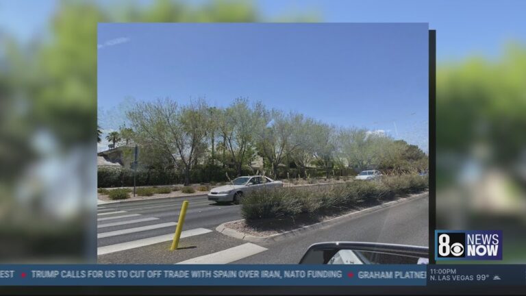Summerlin neighbors say officials know why hundreds of mature trees are dead, missing