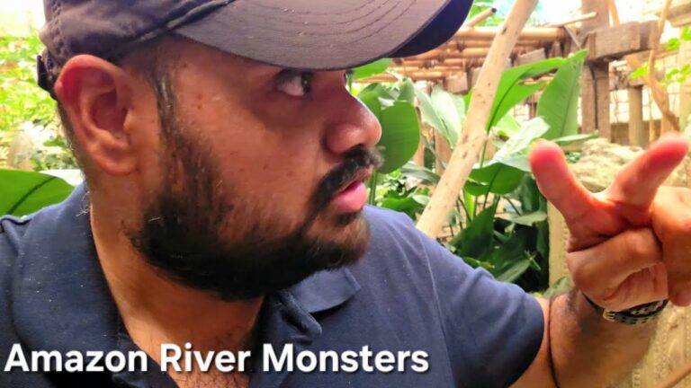Amazon River Fish and Shark Aquarium, Mandalay Bay Casino, Las Vegas