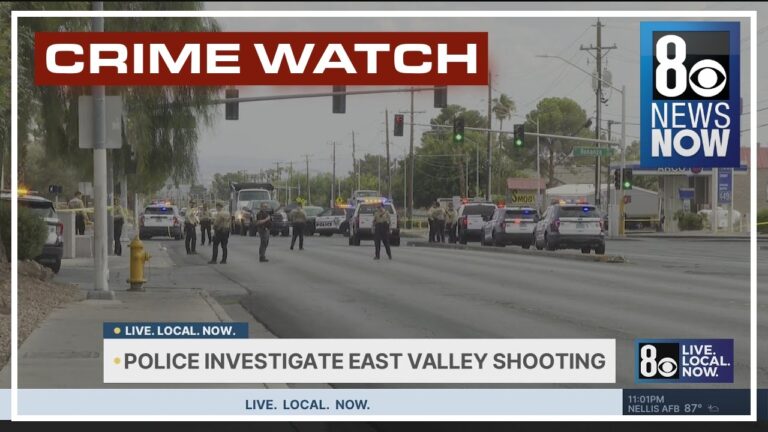Bystander killed by stray bullet while in car at intersection; police detain 1 person