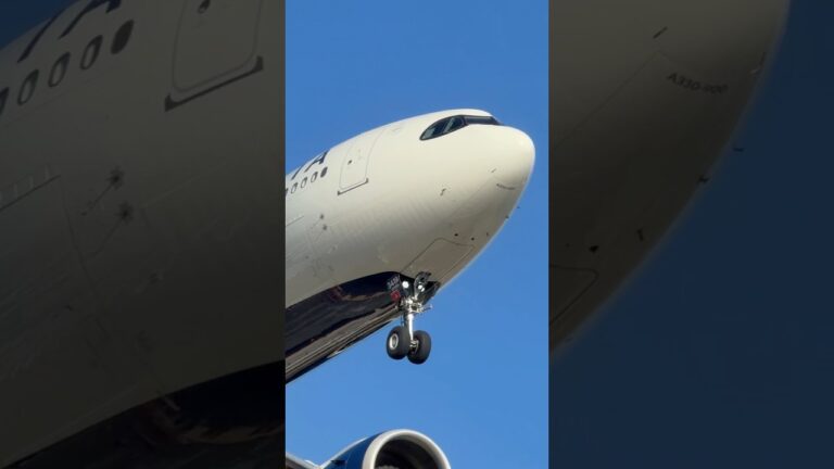Delta 421 Heavy (Airbus A330neo) arrives at Las Vegas (LAS) | N419DX | #planespotting #KLAS
